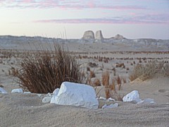 SANDSCREWING