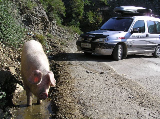 SKORAJ CAMEL TROPHY