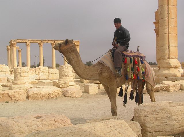 TADMUR (PALMYRA) - CROATIAN MUSIC IN THE HEART OF THE DESERT